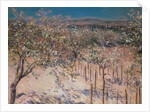 Orchard with Flowering Apple Trees, Colombes by Gustave Caillebotte
