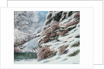 Deer in a Snowy Landscape, 1867 by Gustave Courbet