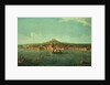 A View of Naples from the sea by Antonio Joli