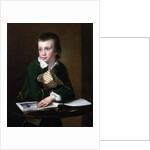 Portrait of the Revd William Rastall as a Boy by Joseph Wright of Derby
