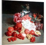 Still Life with Butterflies by Louis Leopold Boilly