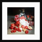 Still Life with Butterflies by Louis Leopold Boilly