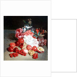 Still Life with Butterflies by Louis Leopold Boilly