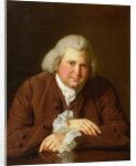 Portrait of Dr Erasmus Darwin, 1770 by Joseph Wright of Derby