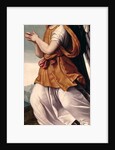 An Adoring Angel, c.1540 by Moretto da Brescia