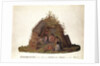 Inhabitants of the Island of Terra del Fuego in their Hut by Alexander Buchan