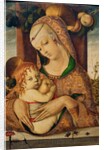 Virgin and Child, c.1480 by Carlo Crivelli