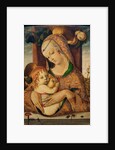 Virgin and Child, c.1480 by Carlo Crivelli