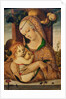 Virgin and Child, c.1480 by Carlo Crivelli