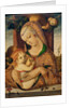 Virgin and Child, c.1480 by Carlo Crivelli
