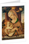 Virgin and Child, c.1480 by Carlo Crivelli