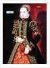 Elizabeth Fitzgerald, Countess of Lincoln, 1560 by Steven van der Meulen