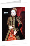 Elizabeth Fitzgerald, Countess of Lincoln, 1560 by Steven van der Meulen