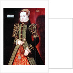 Elizabeth Fitzgerald, Countess of Lincoln, 1560 by Steven van der Meulen