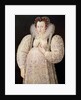 Unknown Lady, c.1595-1600 by William Segar