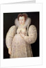 Unknown Lady, c.1595-1600 by William Segar