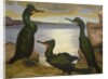 Shags, 1938 by Cedric Morris