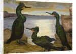Shags, 1938 by Cedric Morris