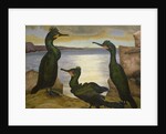 Shags, 1938 by Cedric Morris