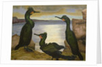 Shags, 1938 by Cedric Morris