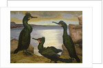 Shags, 1938 by Cedric Morris