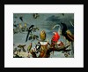 Concert of Birds by Frans Snyders or Snijders