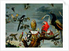 Concert of Birds by Frans Snyders or Snijders