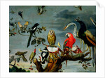 Concert of Birds by Frans Snyders or Snijders