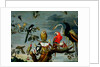 Concert of Birds by Frans Snyders or Snijders