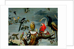 Concert of Birds by Frans Snyders or Snijders