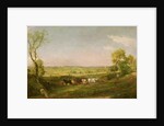 Dedham Vale: Morning, c.1811 by John Constable