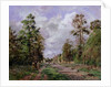 The road to Louveciennes at the edge of the wood, 1871 by Camille Pissarro