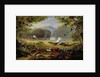 Charles Waterton capturing a cayman, 1825-26 by Captain Edward Jones