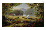 Charles Waterton capturing a cayman, 1825-26 by Captain Edward Jones
