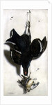 Trompe l'oeil of a black grouse and finches by Jacobus Biltius
