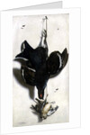 Trompe l'oeil of a black grouse and finches by Jacobus Biltius