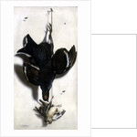 Trompe l'oeil of a black grouse and finches by Jacobus Biltius