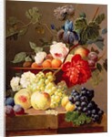 Still life with fruit and flowers by Anthony Obermann