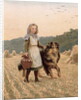 Firm Friends, early 20th century by Anonymous Anonymous