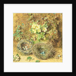 Primroses and Birds' Nests by William Henry Hunt