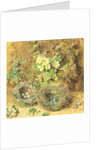 Primroses and Birds' Nests by William Henry Hunt