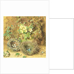 Primroses and Birds' Nests by William Henry Hunt