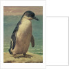 Study of a Penguin by Henry Stacy Marks