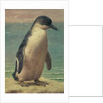 Study of a Penguin by Henry Stacy Marks