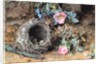 Wild Roses and Birds' Nests by William Henry Hunt