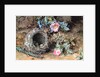 Wild Roses and Birds' Nests by William Henry Hunt