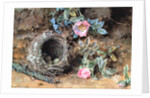 Wild Roses and Birds' Nests by William Henry Hunt