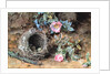 Wild Roses and Birds' Nests by William Henry Hunt