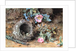 Wild Roses and Birds' Nests by William Henry Hunt