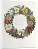 Christmas Roses by Pierre Joseph Redouté